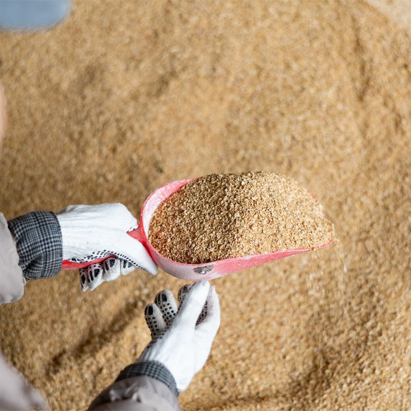 Al Ghurair Foods animal nutrition products – livestock feed, protein ingredients, and fibre pre-mixes for GCC and Asia